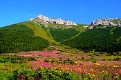 Belianske Tatry 
